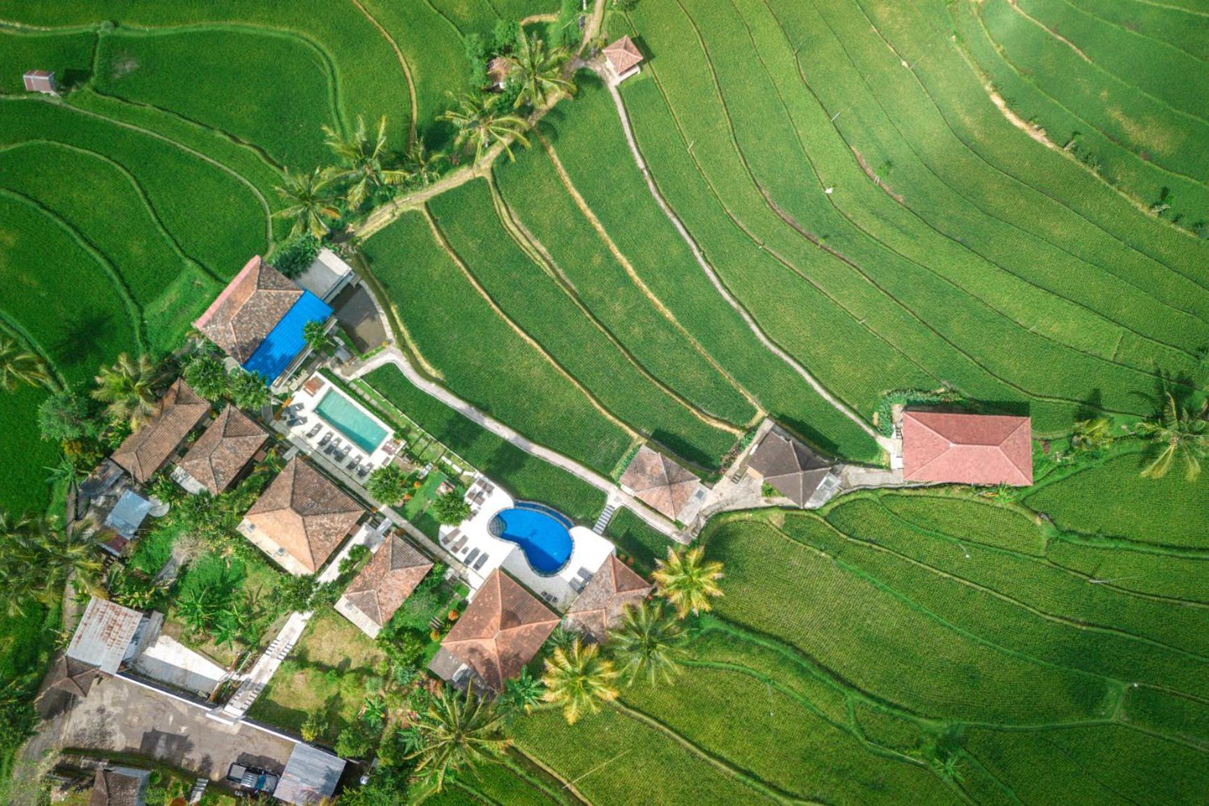 Villa Sande Munduk Екстериор снимка